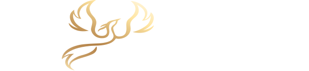 Логотип школы Школа Симург